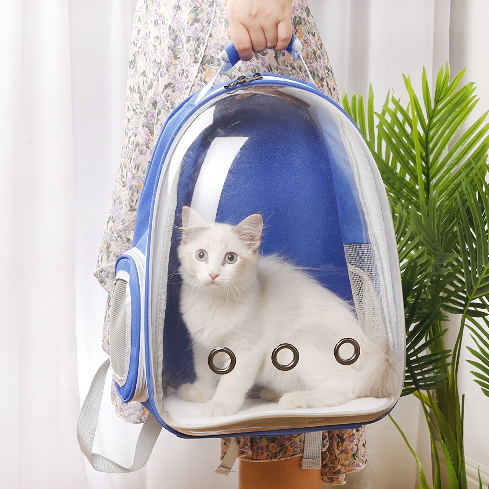 Sac à dos bulle portable pour animaux de compagnie pour chiens et chats -