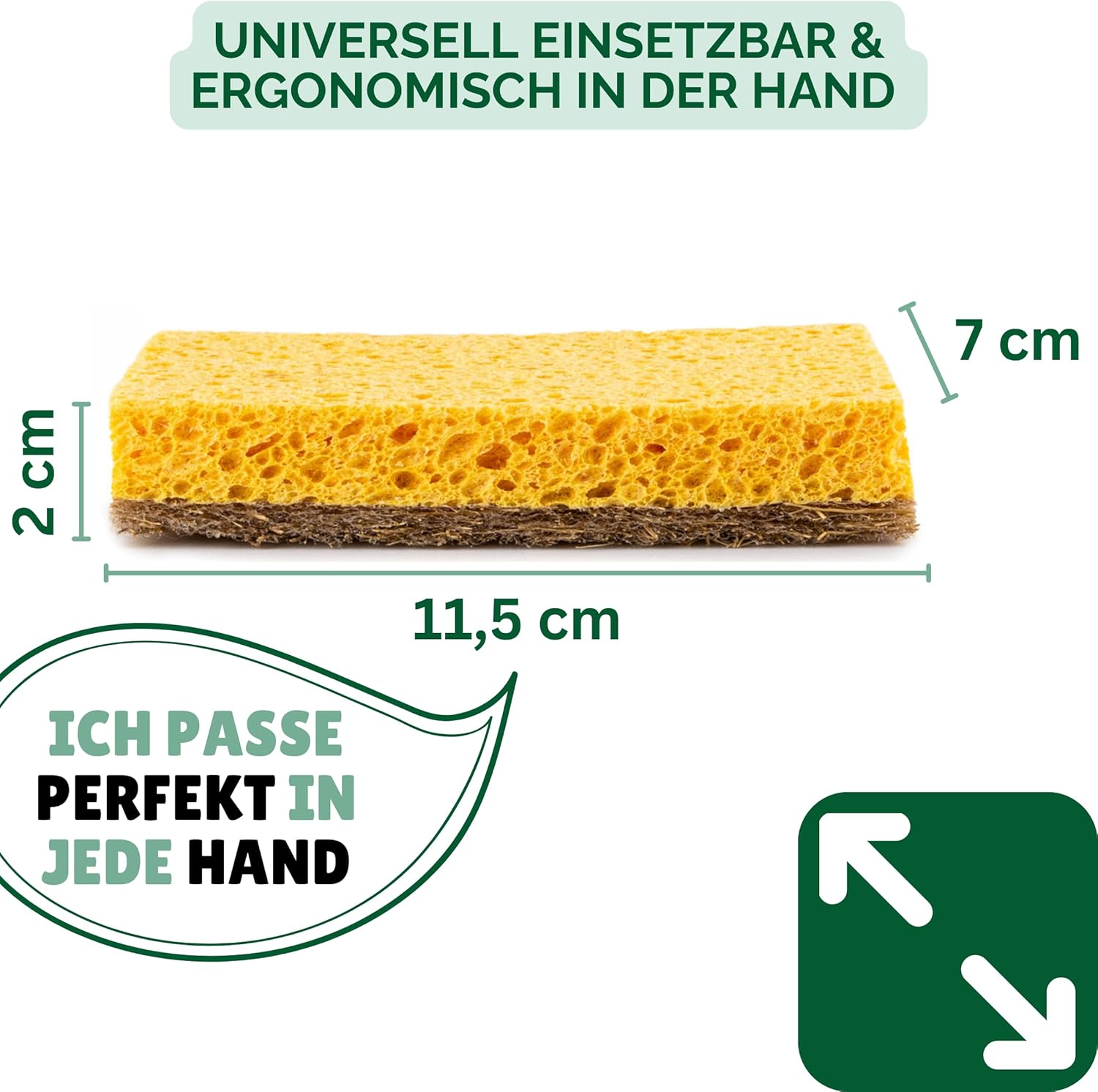PROTEA Lot de 2 éponges à vaisselle durables en coco – Éponge naturelle réutilisable, éponge de cuisine, éponge de nettoyage – biodégradable et réutilisable